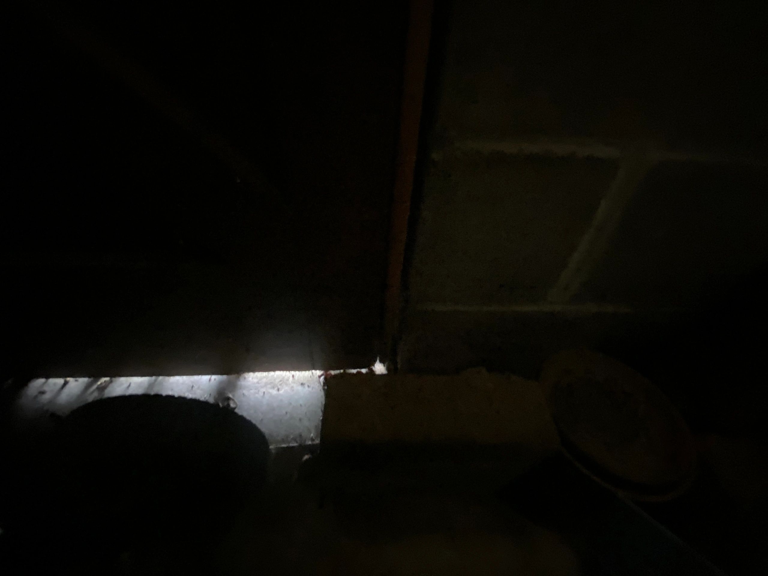 Light peeking under a door and clutter on the floor — conducive conditions that let pests in